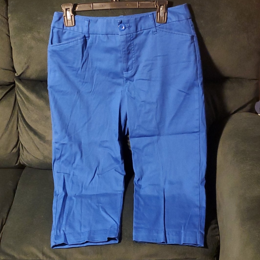 Blue Size 8 Capri Pants St. John's Bay Used